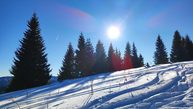 Foto: I.Wozonig