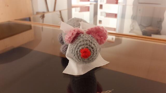 Kannst Du die Fragen richtig beantworten?