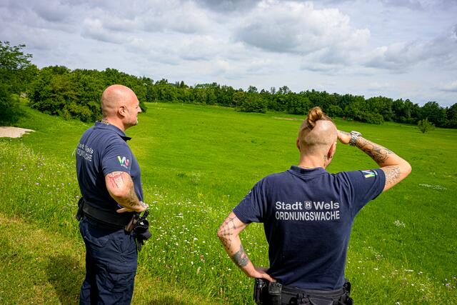 Das neu beschlossene Alkoholverbot am Kaiser-Josef-Platz, sowie Änderungen bei Hundehalter- und Abfallwirtschaftsgesetz brachten zusätzliche Aufgaben und auch mehr Arbeit für die Welser Ordnungshüterinnen und -hüter.  | Foto: Stadt Wels