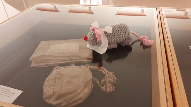 Die Maus zeigt, wo die Antwort zu finden ist.