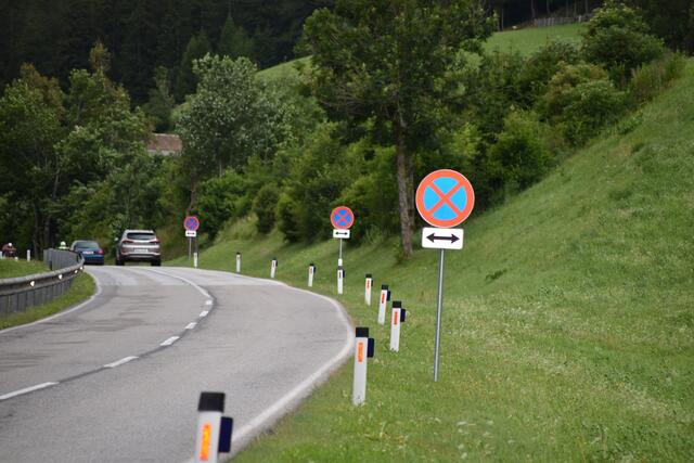 Die Straße zwischen Steinach und Trins wird von besonders vielen Amphibien überquert.  | Foto: Kainz