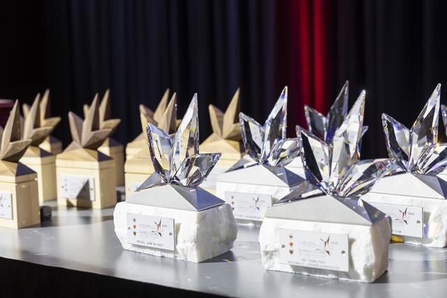 Engagement verbindet: Die Auszeichnung „Glanzleistung“ würdigt grenzüberschreitende Projekte in der Euregio Tirol-Südtirol-Trentino. | Foto:  Land Tirol/Die Fotografen