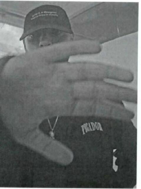 Die Polizeiinspektion Poysdorf ersucht um Mithilfe und bittet Personen, die sachdienliche Informationen geben können, sich unter der Telefonnummer 059133-3272 zu melden. | Foto: LPD NÖ