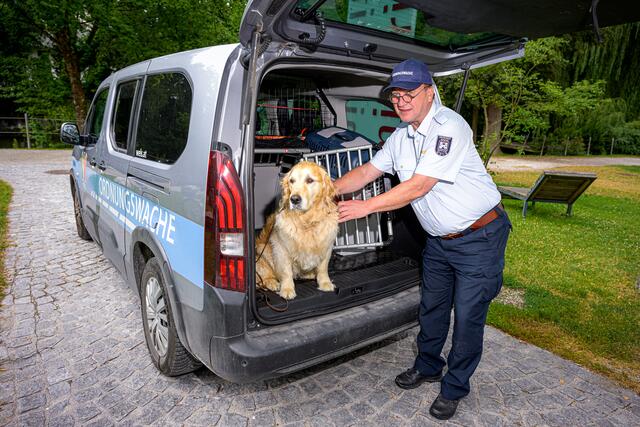 In 125 Fällen kümmerten sich die Mitarbeiterinnen und Mitarbeiter der Welser Ordnungswache um verletzte oder entlaufene Tiere in der Stadt. | Foto: Stadt Wels