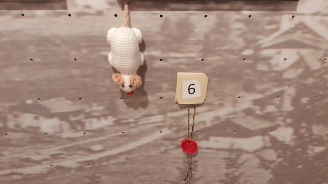 Sogar kopfüber suchen die Mäuse die richtige Antwort.