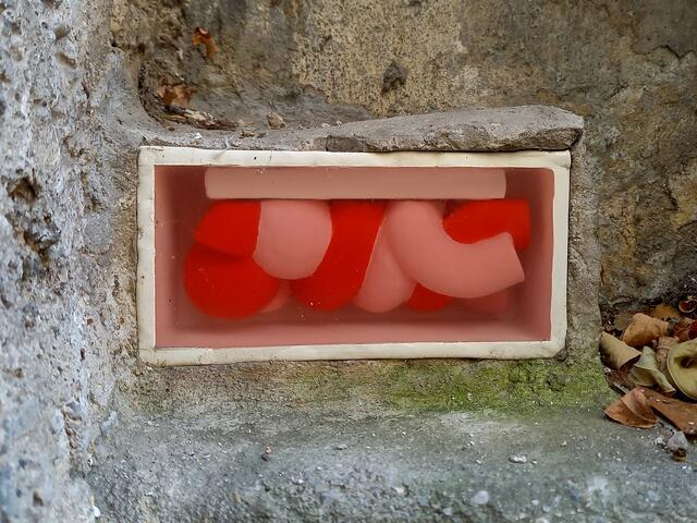 Foto: H. Bachinger