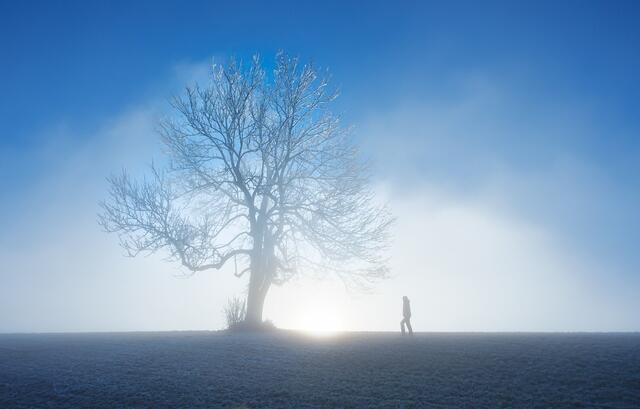 Im Osten Österreichs dominiert die Woche der Nebel.  | Foto: Pixabay