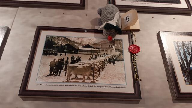 Die Maus staunt, wie viele Tiere auf dem alten Foto zu sehen sind.