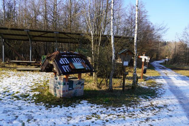 Hier verläuft der Mooerlebnisweg durch das Bürmooser Moor. | Foto: Emanuel Hasenauer