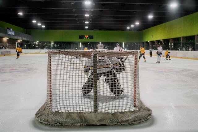 Foto: Alexa Püschel