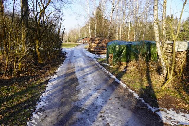 Auf dem Weg zur Schutzhütte ins Bürmooser Moor. | Foto: Emanuel Hasenauer