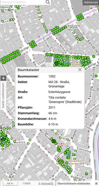 Beispiel der Beschreibung einer Baumscheibe 🌳

https://www.wien.gv.at/umweltgut/public/grafik.aspx?ThemePage=11 | Foto: Zuzana Kobesova 2025