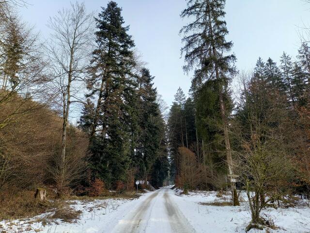Foto: H. Bachinger