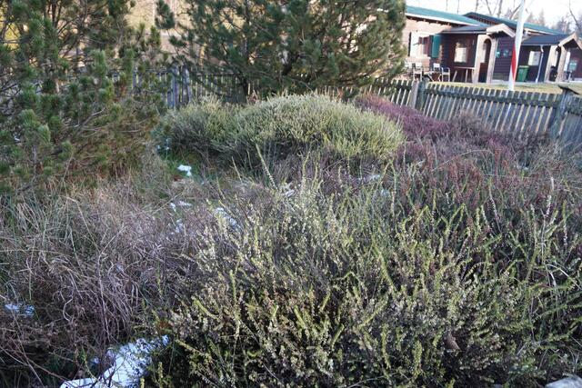 Ein kleiner Schaugarten rund um die Schutzhütte in Bürmoos. | Foto: Emanuel Hasenauer