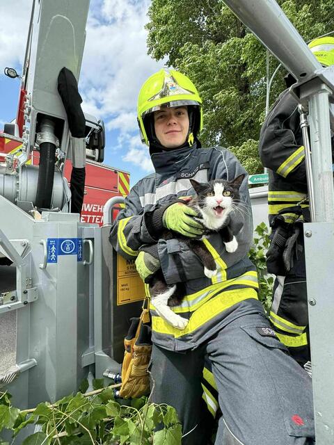 Amstettner Florianis rückten 2024 zur Katzenrettung aus. | Foto: Bfkdo Amstetten