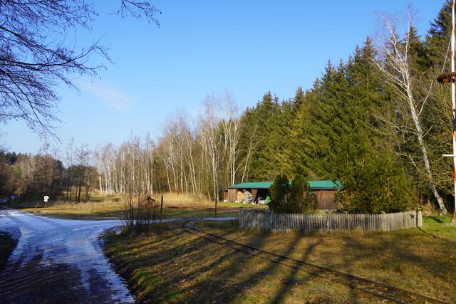 Reine Natur und ab und zu ein paar Spaziergänger: der Moorerlebnisweg in Bürmoos. Auf den Schienen fährt an ein paar Tagen im Jahr die historische „Bockerlbahn" mit der früher der Torf abtransportiert wurde. | Foto: Emanuel Hasenauer