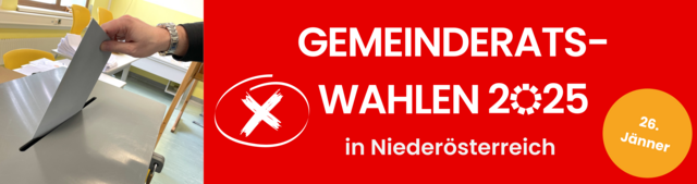 Auf deiner amtlichen Wahlinformation befinden sich Informationen über den Wahlsprengel und die Öffnungszeiten deines Wahllokales. | Foto: meinbezirk