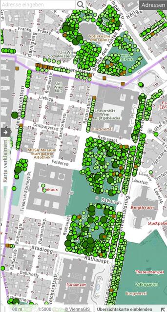 Landkarte des Umweltgut zeigt in Grün die für eine Patenschaft grundsätzlich verfügbaren Baumscheiben an. Auf braun gefärbten Scheiben wird ein Jungbaum gepflanzt.

https://www.wien.gv.at/umweltgut/public/grafik.aspx?ThemePage=11 | Foto: Screenshot