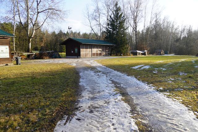 Entlang des Moorerlebnisweges in Bürmoos knapp an der Grenze zum Ortsteil Zehmemoos. | Foto: Emanuel Hasenauer