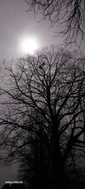 Foto: Naturfreunde Hainfeld