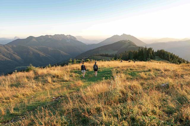 Im Rahmen des LEADER-Projekts sind Aktivitäten geplant, die die Entwicklung und Vermarktung des Ybbstaler Alpenraums unterstützen sollen. | Foto: Josef Wittibschlager