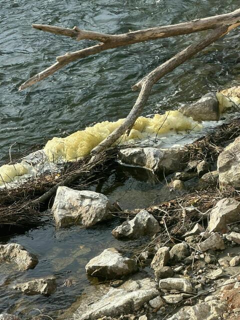 Bräunlich-gelber Schaum verschmutzt derzeit das Murufer in der Nähe der Eisenbahnunterführung in Leoben-Hinterberg. | Foto: Walter Reiter