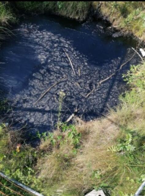 Das Teerloch inmitten der Wiese ist einige Meter groß. | Foto: Sandra Mores