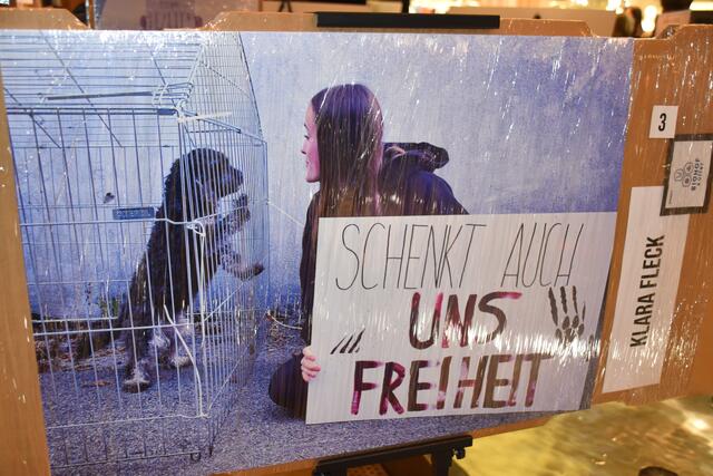 Botschaften regen zum Nachdenken an. | Foto: Michael Strini