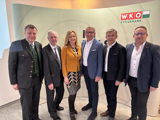 Thomas Heuberger, Günther Stangl, Silvia Reindl, Josef Herk, Franz Fartek (v.l.) und Manfred Walter beim Jahresauftakt in der Wirtschaftskammer-Regionalstelle Feldbach | Foto: MeinBezirk