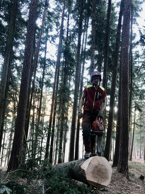 Ein Sicherheitshelm und eine Schutzkleidung in Signalfarben sind das A und O der sicheren Forstarbeit. | Foto: zVg