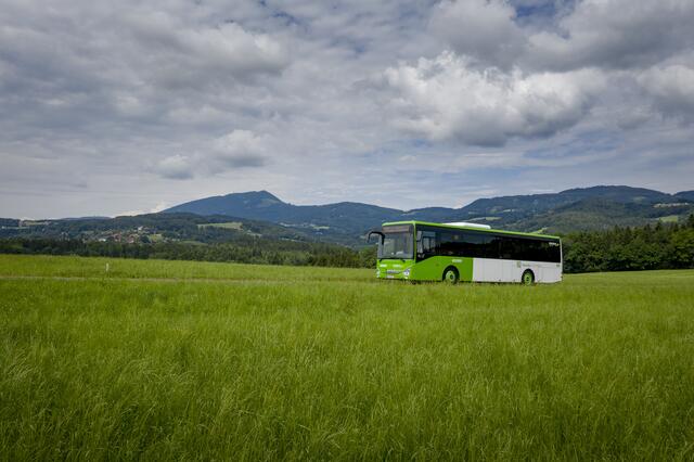 Die Landesregierung beschließt knapp 100 Millionen Euro für 2026 bis 2036. | Foto: Lamm