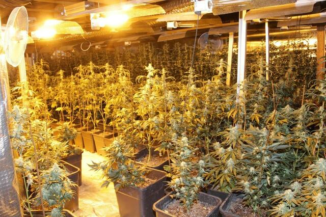 Nach einem anonymen Hinweis hat die Polizei eine illegale Cannabis-Gaststätte in Penzing gefunden. | Foto: LPD Wien