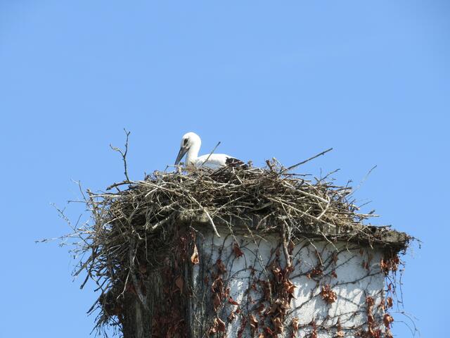 Ulrichsberg
© R. Gattringer