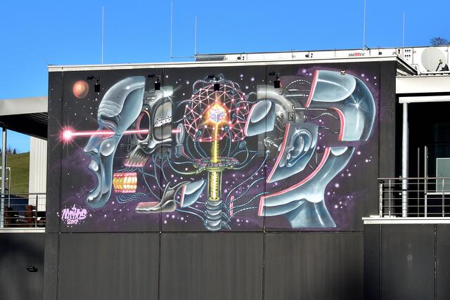 Sticht ins Auge: Graffiti "Laser Head" des Spraykünstlers Nychos beim HMW-Werk im Wirtschaftspark Ybbstal | Foto: Hans-Peter Kriener