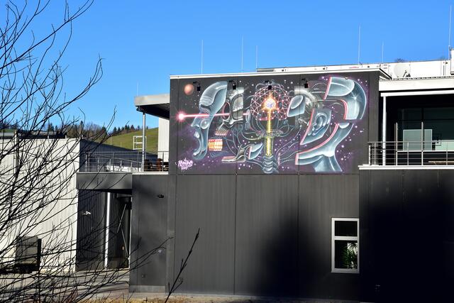 HMW Härterei Michael Welser: Blick von der Grestner Straße, Höhe Haltestelle Schütt bei Ybbsitz, auf das Graffiti "Laser Head" von Nychos | Foto: Hans-Peter Kriener