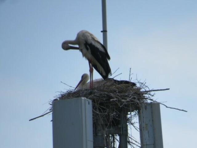 St. Oswald bei Freistadt
© R. Gattringer