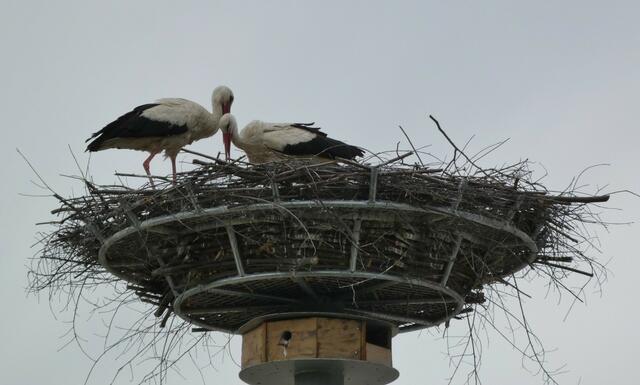 Neukirchen an der Vöckla
© M. Brandner