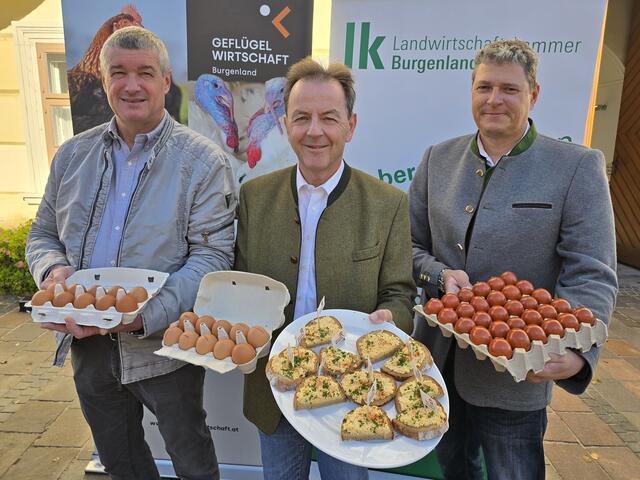 Obmann der Geflügelwirtschaft Burgenland Heinz Schlögl, Landwirtschaftskammer-Präsident Nikolaus Berlakovich und Geschäftsführer der Geflügelwirtschaft Burgenland Wolfgang Pleier heben die Bedeutung regionaler Eier hervor.  | Foto: LK Bgld/Tesch-Wessely