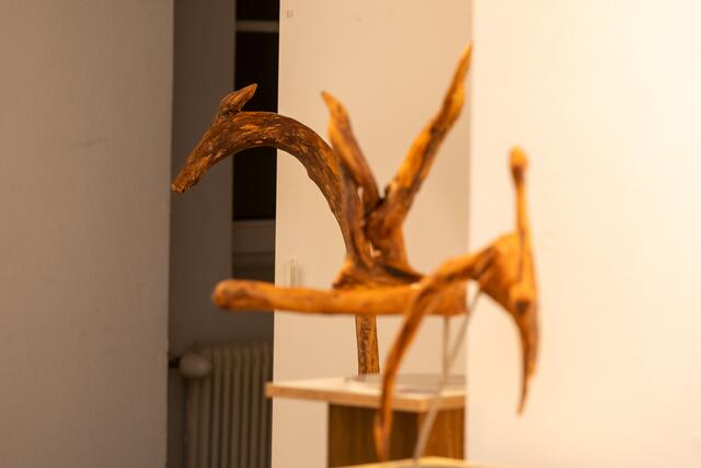 Foto: Dieter Arbeiter