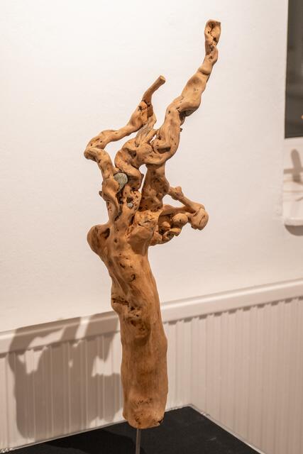 Foto: Dieter Arbeiter