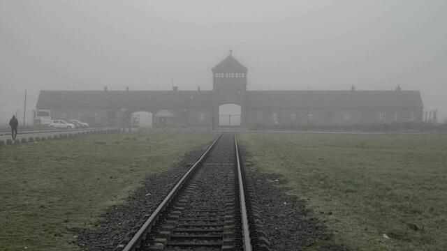 Am 27. Jänner findet, anlässlich des Jahrestages der Befreiung des Konzentrationslagers Auschwitz, der internationale Holocaust Gedenktag statt. Auch im Burgenland finden sich noch viele Spuren.  | Foto: BG/BRG Bad Ischl