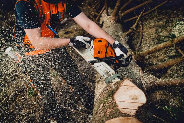 Im Gemeindegebiet von Mörtschach kam es zu einem Forstunfall. (Symbolfoto) | Foto: stock.adobe.com/at/Medienzunft Berlin