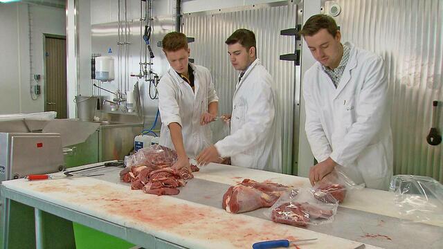 Mit dem Projekt "Pinzgauer beef to go", hat die ARGE-Pinzgau in Zusammenarbeit mit der Metzgereigenossenschaft Bruck eGen, der Arbeitsgenossenschaft der Pinzgauer Rinderzuchtverbände und der LFS Bruck einen Gastrostand in der Fanmeile der Ski-WM. | Foto: Die ARGE-Pinzgauer