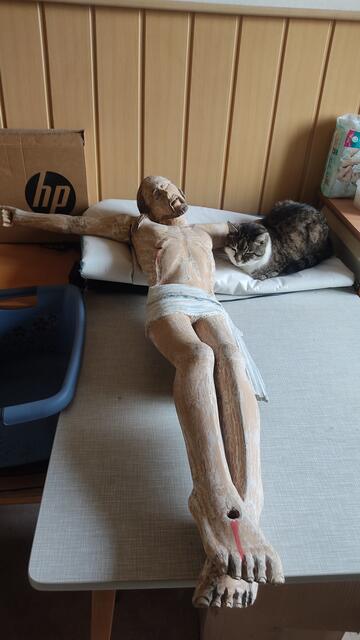 ...nun, der war zu diesem Zeitpunkt noch bei mir zu Hause. Ich hatte loses Material bereits abgeschliffen auch seine Nase war bereits wieder rekonstruiert... | Foto: Günther Koch
