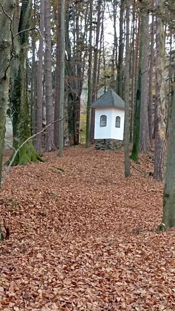 So präsentiert sich heute dem Wanderer das Marterl, wenn er des Weges kommt. An dieser Stelle allen Mitwirkenden, Helfern   und Spendern, welche sich maßgeblich beteiligt haben ein herzliches Vergeltsgott und großen Dank für ihren Einsatz  | Foto: Peter Theußl