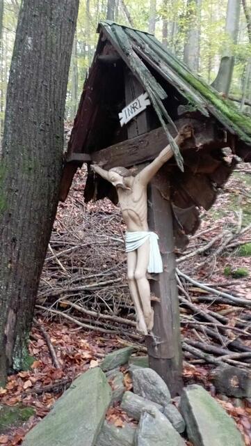 ...hier war es höchste Zeit zu Handeln. So ziemlich alles am Kreuz war morsch und eigentlich nicht mehr zum Retten. Hier musste ein neues Kreuz hergestellt werden. Der hölzerne Heiland sah auf den ersten Blick noch recht gut aus, bis auf das Fehlen der Dornenkrone und einem Teil seiner Nase war auf die Schnelle nix aufregendes zu erkennen...
 | Foto: Peter Theußl