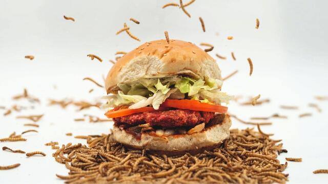 Mehlwürmer gelten als das neue Superfood und sind jetzt auch im Burger zu finden.  | Foto: Le Burger