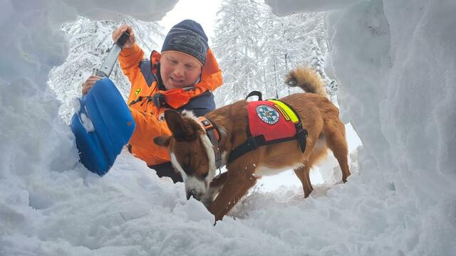 27 Bergrettungshundeteams trainierten die ganze letzte Woche die Lawinenverschütteten-Suche in Zauchensee. | Foto: Bergrettung Salzburg