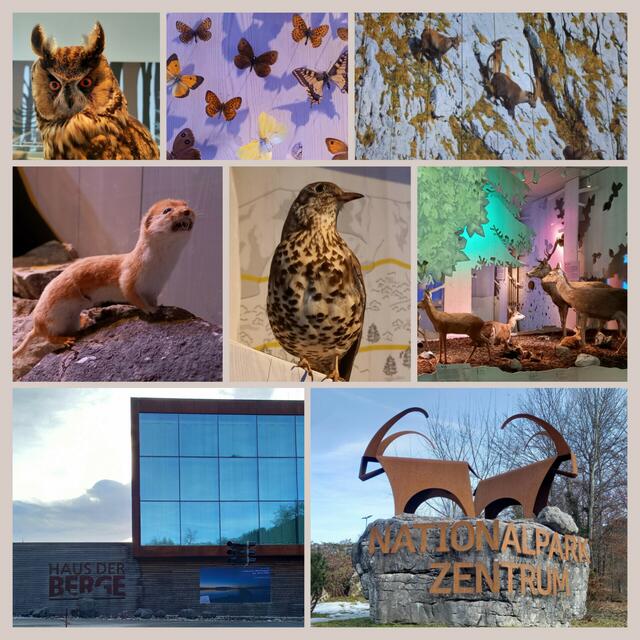 Nationalpark Zentrum Haus der Berge  | Foto: H. Bachinger