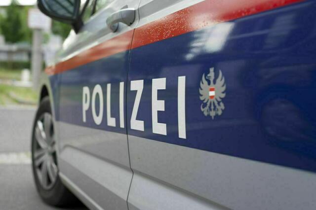 Der ältere Bruder sagte daraufhin am 10. April als Zeuge vor dem niederösterreichischen Landesamt Staatsschutz und Extremismusbekämpfung (LSE) aus. (Symbolfoto) | Foto: BRS